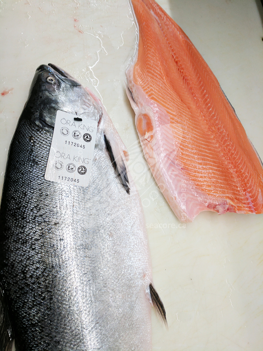 ora-king-salmon-new-zealand-salmon-co